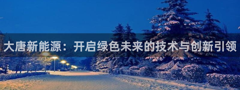 摩根国际商务娱乐会所:大唐新能源:开启绿色未来的技术与创新引