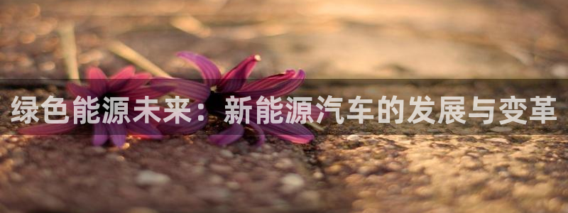 摩根娱乐是真的呀