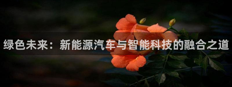 摩根娱乐宝被骗怎么办:绿色未来:新能源汽车与智能科技的融合之
