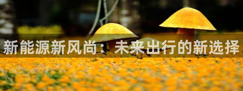 摩根娱乐 股s东50015