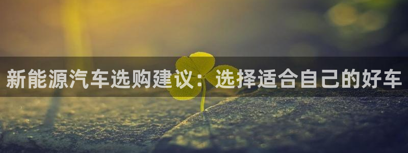 摩根娱乐_ c招a商77130