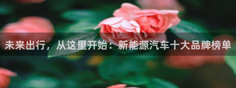 摩根娱乐宝机怎么玩：未来出行，从这里开始