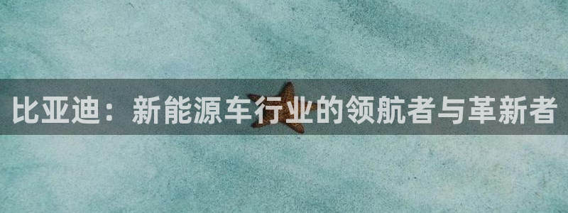 摩根娱乐挂机项目：比亚迪：新能源车行业的