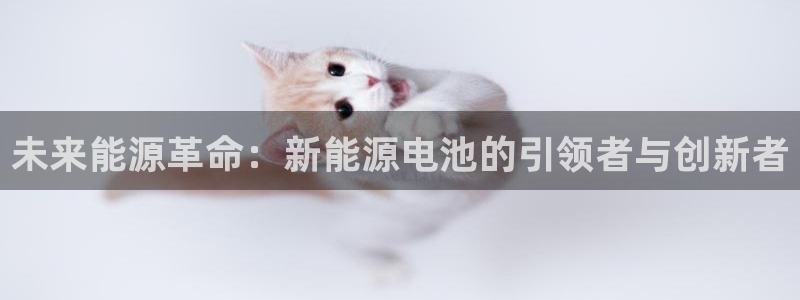 摩根娱乐宝合法吗:未来能源革命:新能源电池的引领者与创新者