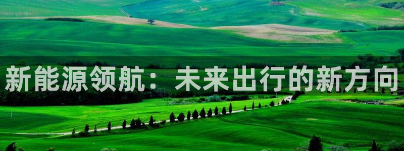 泉州摩根会娱乐保安公司:新能源领航:未来出行的新方向