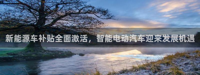 摩根娱乐宝官网:新能源车补贴全面激活,智能电动汽车迎来发展机