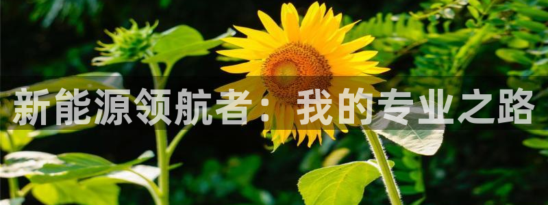 摩根娱乐↑总s管50015:新能源领航者:我的专业之路