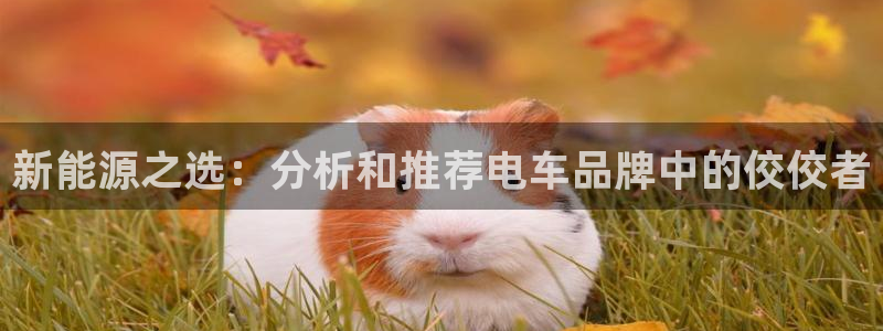 临平摩根国际娱乐会所:新能源之选:分析和推荐电车品牌中的佼佼
