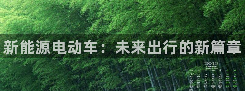 摩根娱乐主管:新能源电动车:未来出行的新篇章