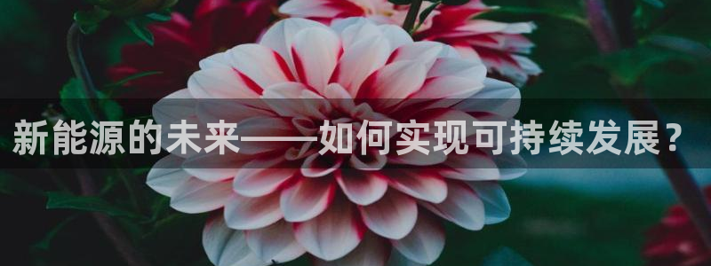 泉州白宫摩根娱乐会所:新能源的未来——如何实现可持续发展?