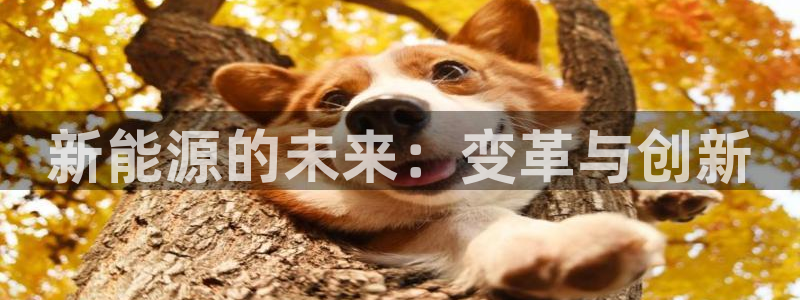 摩根娱乐宝教程:新能源的未来:变革与创新