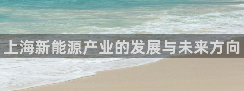 摩根娱乐电玩:上海新能源产业的发展与未来方向