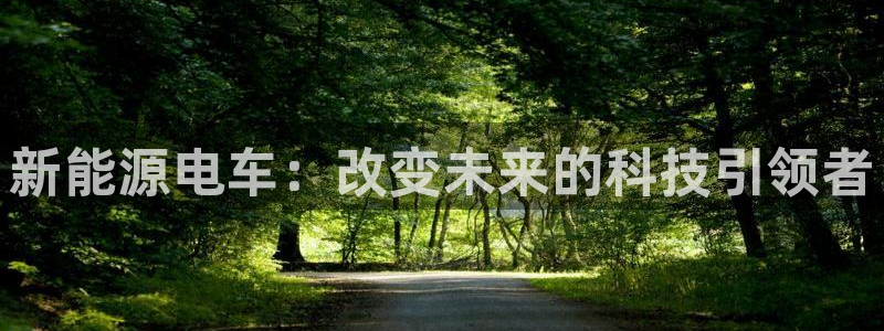 重生娱乐人生莉莉丝摩根:新能源电车:改变未来的科技引领者