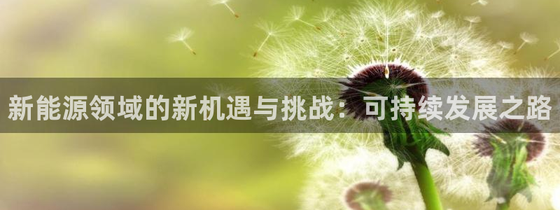 摩根士丹利娱乐:新能源领域的新机遇与挑战:可持续发展之路