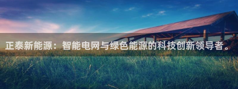 摩根娱乐宝是什么游戏:正泰新能源:智能电网与绿色能源的科技创