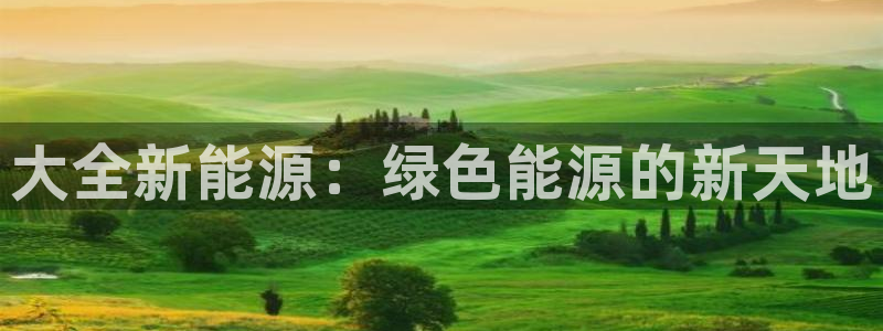 摩根娱乐主管:大全新能源:绿色能源的新天地