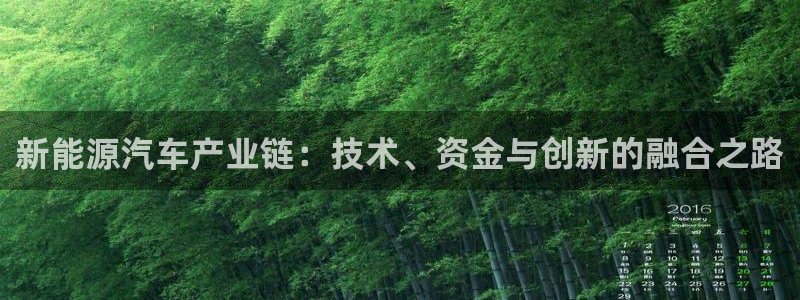 泉州摩根会娱乐场所:新能源汽车产业链:技术、资金与创新的融合