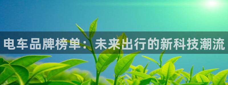 摩根娱乐平台注册:电车品牌榜单:未来出行的新科技潮流