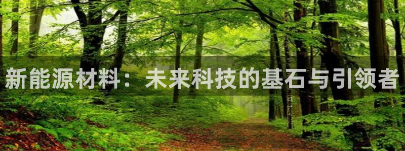 临平摩根娱乐会所:新能源材料:未来科技的基石与引领者