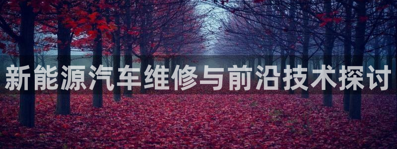 摩根大通旗下娱乐公司:新能源汽车维修与前沿技术探讨