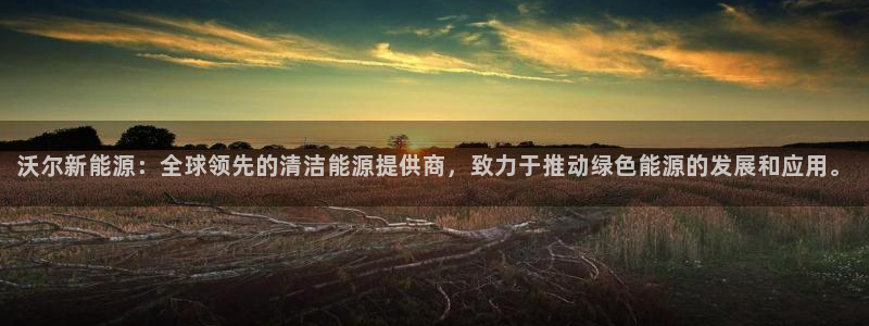 摩根娱乐宝在哪里登录:沃尔新能源:全球领先的清洁能源提供商,