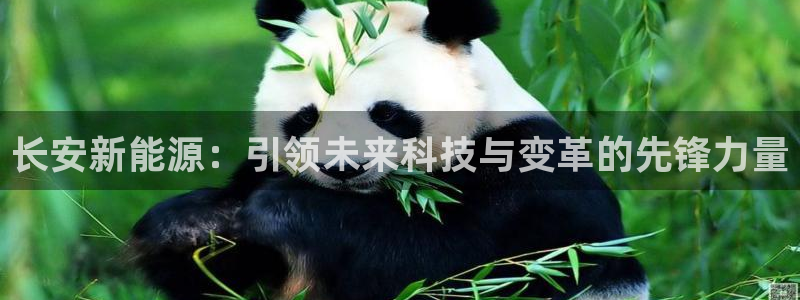 泉州摩根娱乐会所电话地址:长安新能源:引领未来科技与变革的先