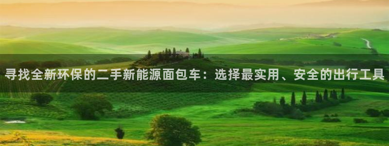 下载摩根娱乐宝:寻找全新环保的二手新能源面包车:选择最实用、