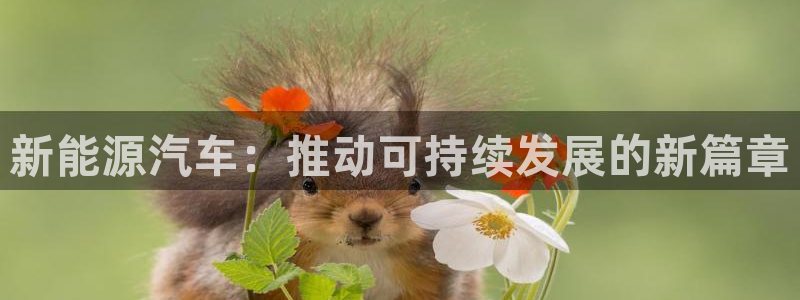 摩根娱乐宝是骗局:新能源汽车:推动可持续发展的新篇章
