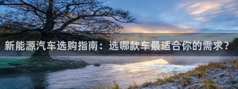 摩根娱乐宝骗局:新能源汽车选购指南:选哪款车最适合你的需求?