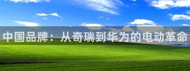 武汉摩根众睿娱乐:中国品牌:从奇瑞到华为的电动革命