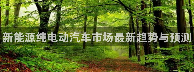 摩根大通王者娱乐:新能源纯电动汽车市场最新趋势与预测
