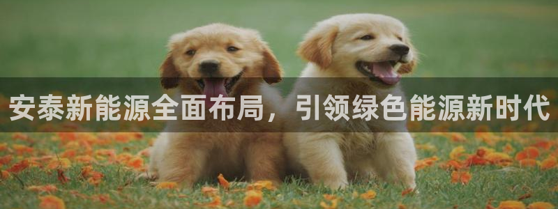 摩根娱乐 F招D商98732:安泰新能源全面布局,引领绿色能