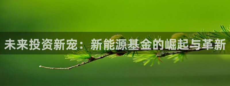 摩根娱乐是骗局吗?:未来投资新宠:新能源基金的崛起与革新