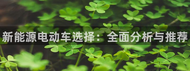 摩根娱乐宝怎么进入:新能源电动车选择:全面分析与推荐