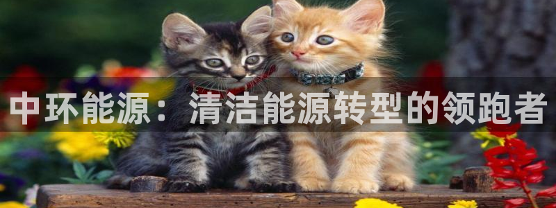 摩根娱乐宝微交易:中环能源:清洁能源转型的领跑者