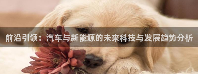 摩根娱乐云挂机是真的嘛:前沿引领:汽车与新能源的未来科技与发