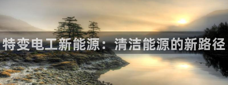 亚瑟摩根娱乐的地方:特变电工新能源:清洁能源的新路径