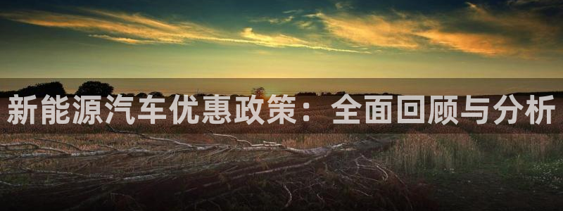 义乌摩根娱乐会所价格:新能源汽车优惠政策:全面回顾与分析