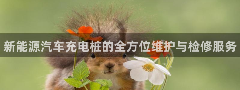 摩根娱乐 实c力77310:新能源汽车充电桩的全方位维护与检