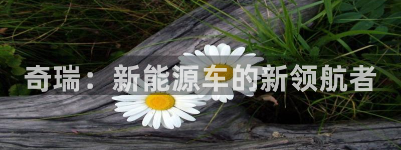 摩根娱乐宝 知道吗:奇瑞:新能源车的新领航者