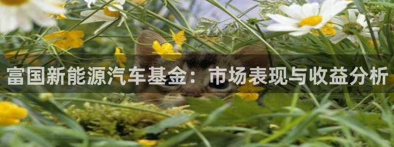 摩根娱乐云挂机是真的嘛：富国新能源汽车基