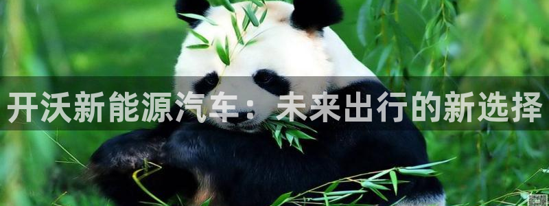 摩根国际娱乐宝合法吗:开沃新能源汽车:未来出行的新选择