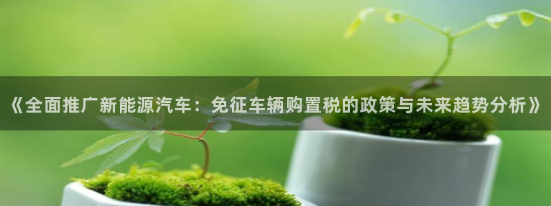 摩根100娱乐会所：《全面推广新能源汽车